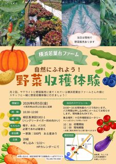 65野菜収穫体験.jpg