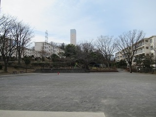 南長津田公園.jpg